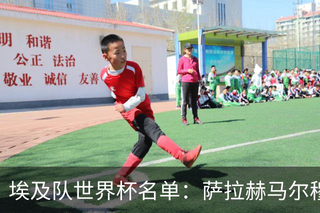 埃及队世界杯名单：萨拉赫马尔穆什领衔 首战踢比利时