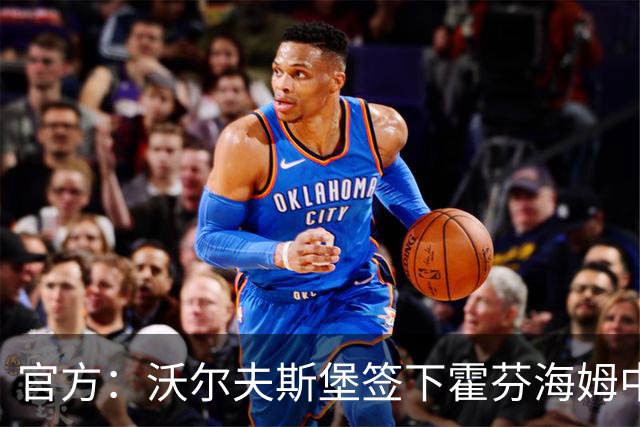 官方：沃尔夫斯堡签下霍芬海姆中场达马尔，双方签约至2031年