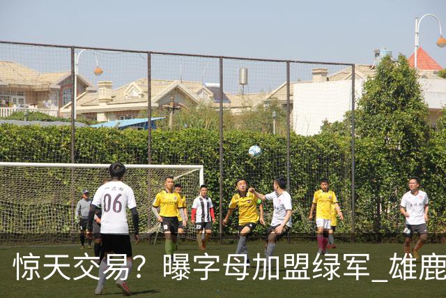 惊天交易？曝字母加盟绿军 雄鹿为布朗寻找第三方