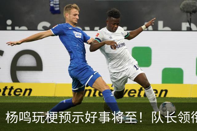 杨鸣玩梗预示好事将至！队长领衔送祝福，郭艾伦携张镇麟弗格再度老友重逢