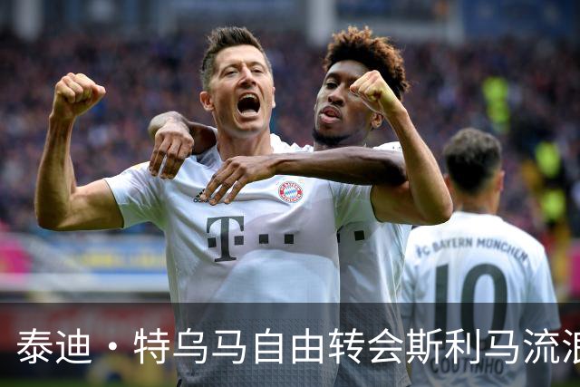 泰迪·特乌马自由转会斯利马流浪者，签约两年