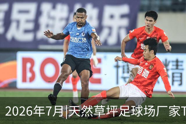 2026年7月|天然草坪足球场厂家TOP8推荐